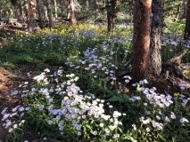 colorado-18