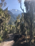 a-kilimanjaro-umbwe-13