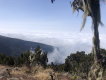 a-kilimanjaro-umbwe-16
