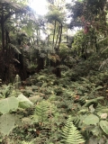 a-kilimanjaro-umbwe-17