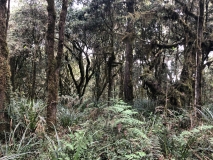 a-kilimanjaro-umbwe-18