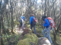 a-kilimanjaro-umbwe-21