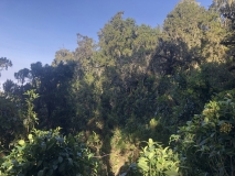 a-kilimanjaro-umbwe-4