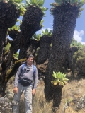 b-kilimanjaro-barranco-14