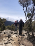b-kilimanjaro-barranco-16