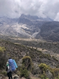 b-kilimanjaro-barranco-17