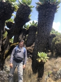 b-kilimanjaro-barranco-20