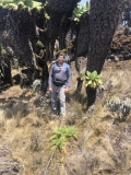 b-kilimanjaro-barranco-21