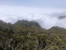 b-kilimanjaro-barranco-26