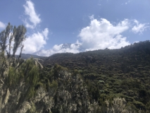 b-kilimanjaro-barranco-27