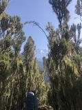 b-kilimanjaro-barranco-3