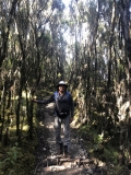 b-kilimanjaro-barranco-4