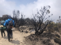 b-kilimanjaro-barranco-7