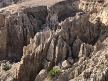 cones-santa-rosa-island