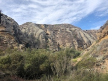 lobo-canyon