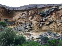 natural-wall-decoration-santa-rosa-islands